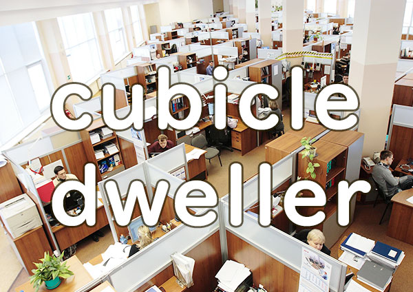 cubicle dweller タコ部屋 意味解説例文