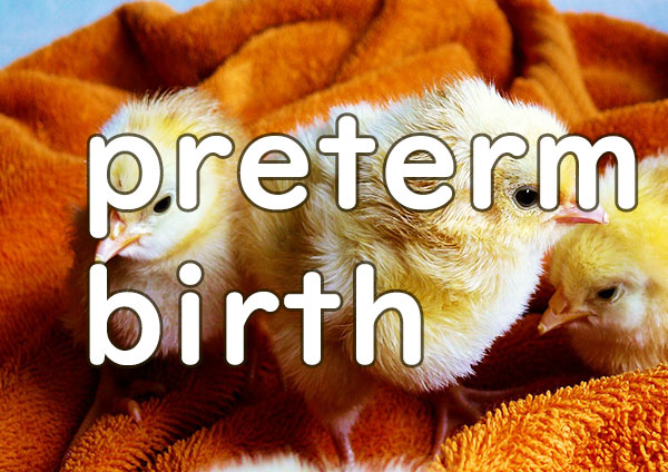 preterm birth  早産 意味解説例文