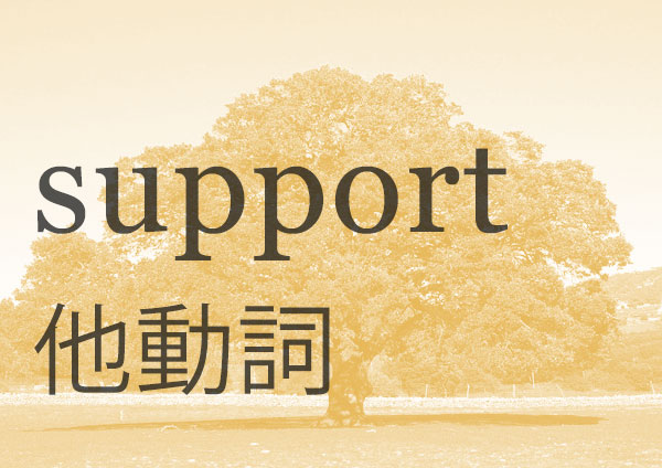 Support 人物 Support Forは間違い 解説例文 英単語帳 英熟語帳 英語 社会人講座 東京先生