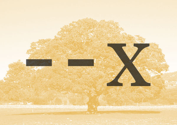 x で 終わる 英 単語