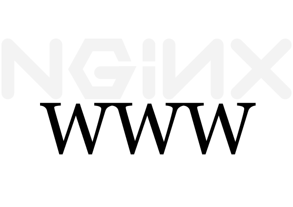 インターネット　Nginx www ありなし