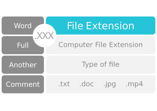 File Extension Type of Computer File Name